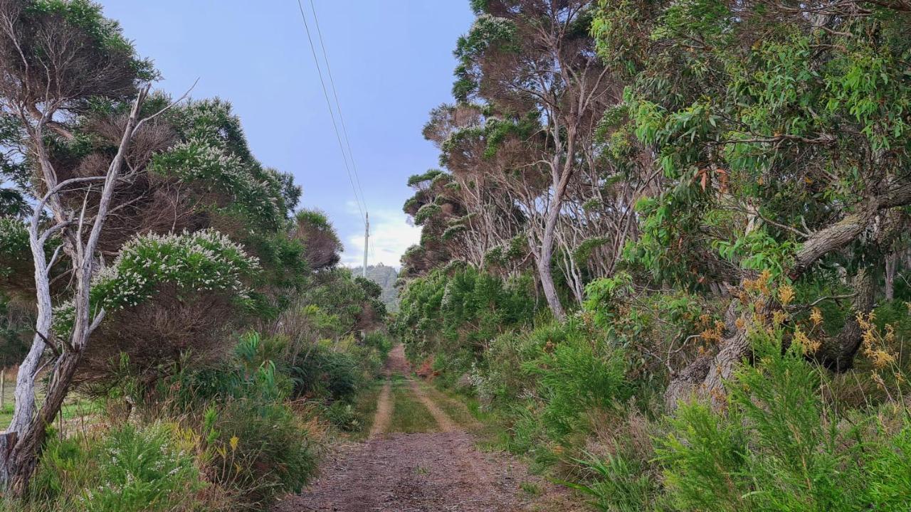 Cape Howe Cottages Lowlands Exterior foto